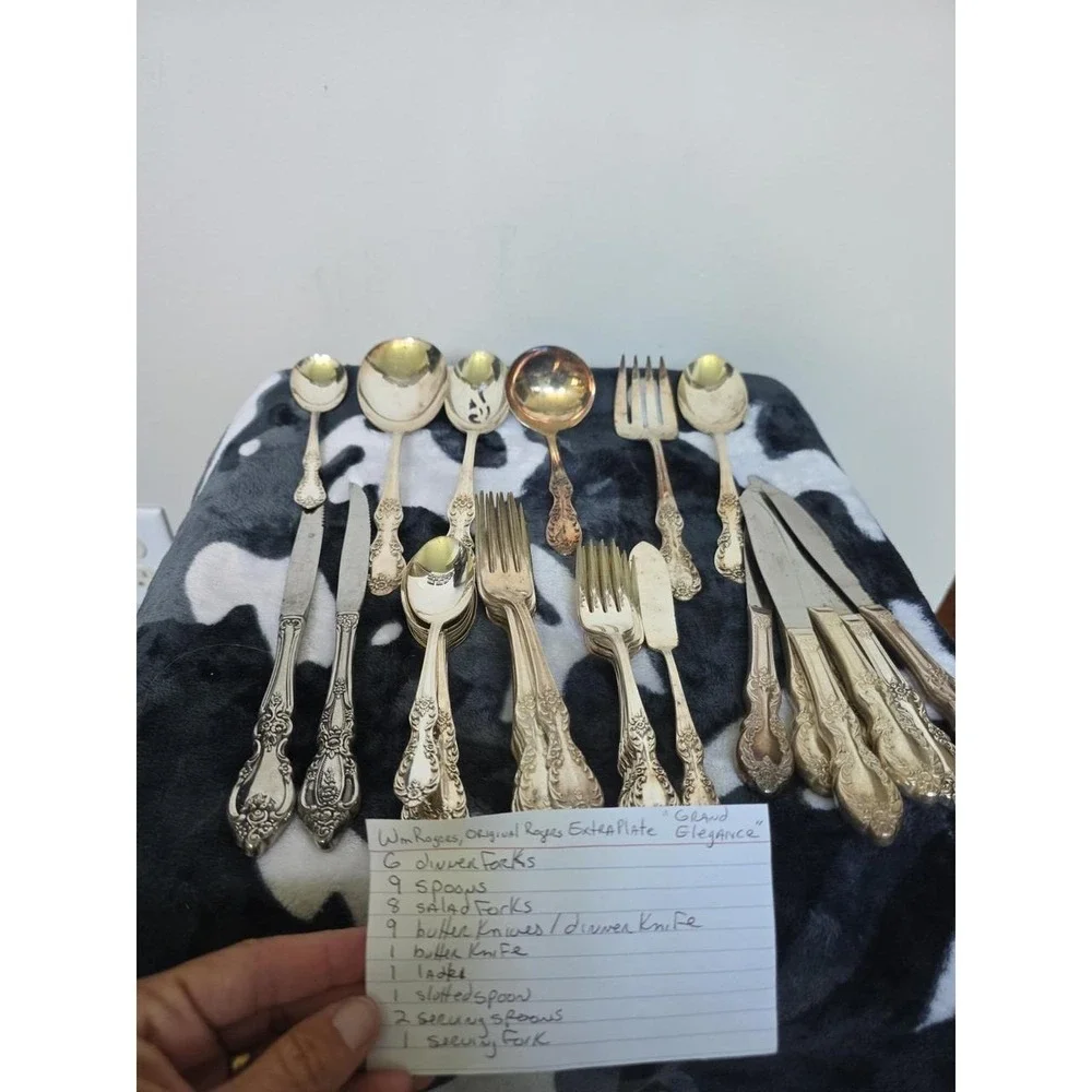 IS Wm Rogers MOUNTAIN ROSE  Silverplate DINNER Ware 38 Set